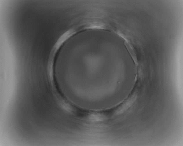 X0000114160199200910081400