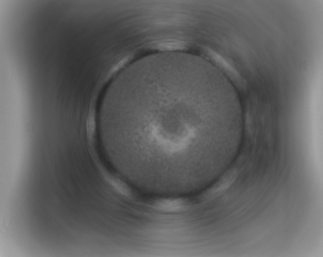 X0000114160202200910081400