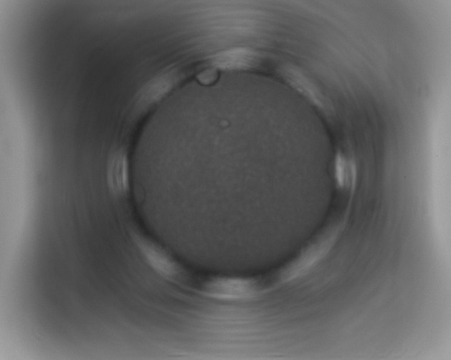 X0000114160205200910081400