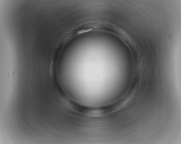 X0000114160217200910081400