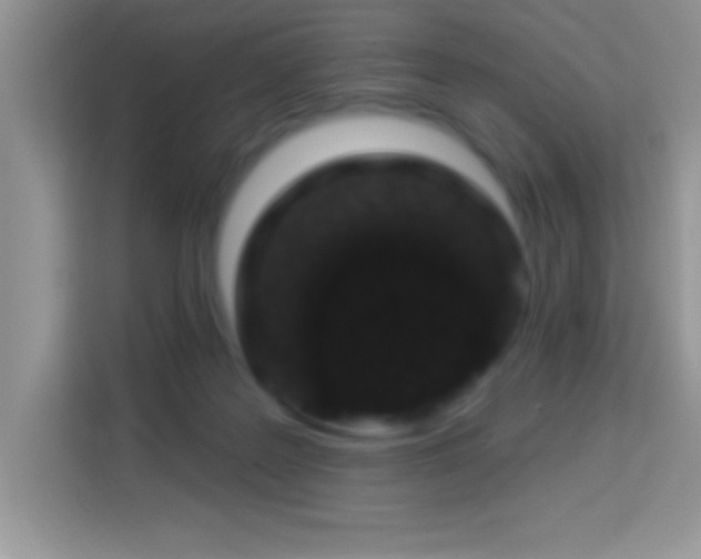 X0000114160219200910081400