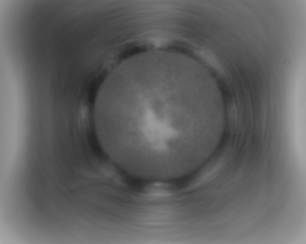 X0000114160222200910081400