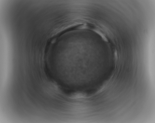 X0000114160223200910081400