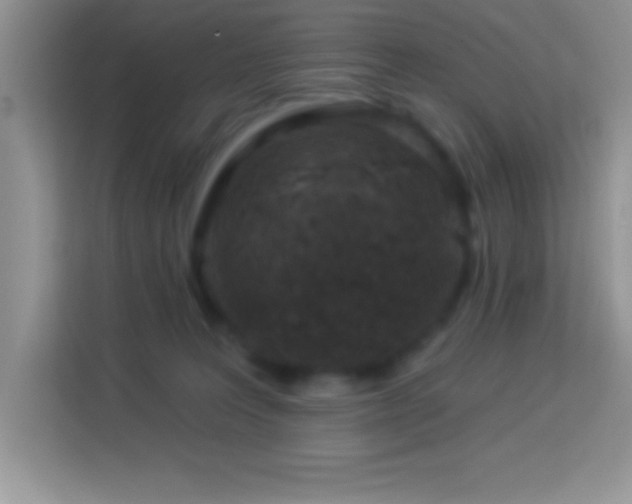 X0000114160227200910081400