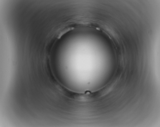 X0000114160229200910081400