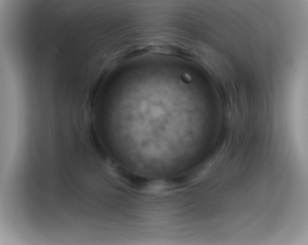 X0000114160231200910081400