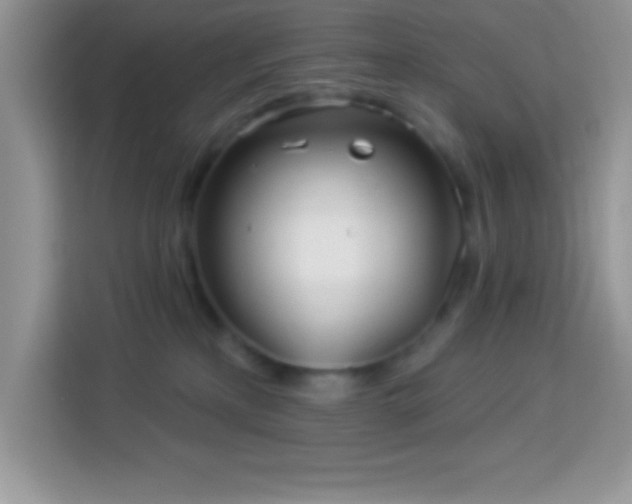 X0000114160233200910081359