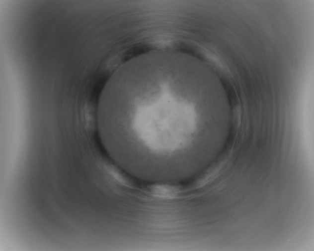 X0000114160234200910081359