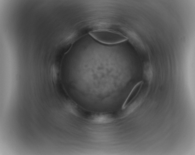 X0000114160235200910081359