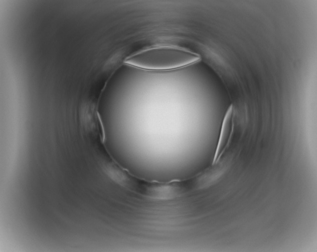 X0000114160237200910081359