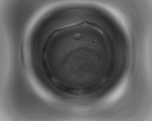 X0000114160239200910081359