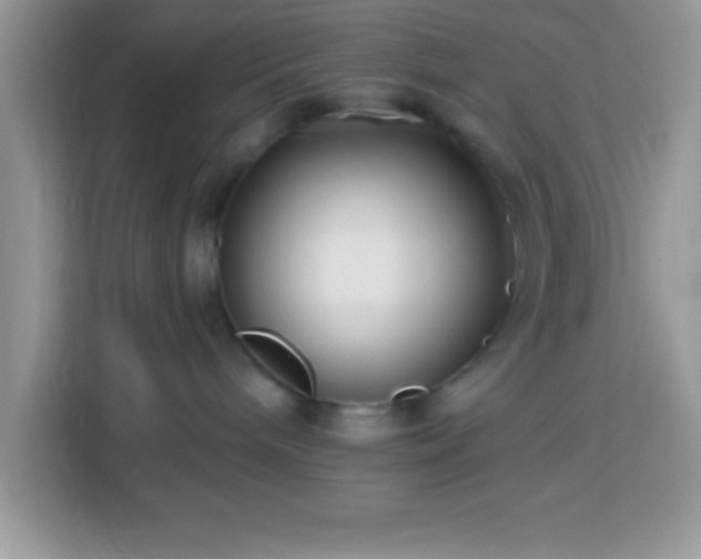 X0000114160240200910081359