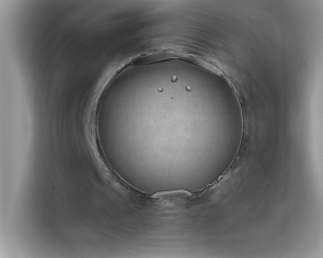 X0000114160241200910081359