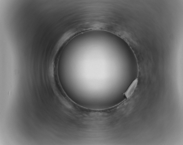 X0000114160242200910081359