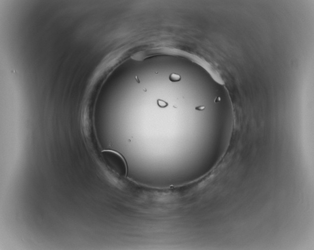 X0000114160245200910081359