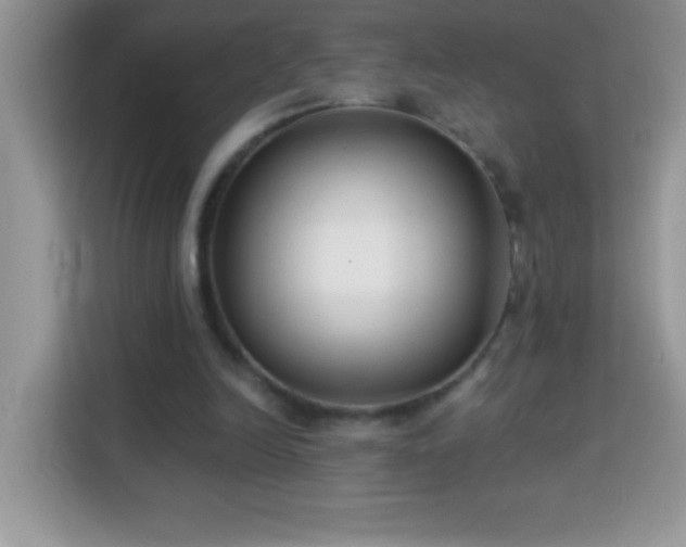 X0000114160246200910081359