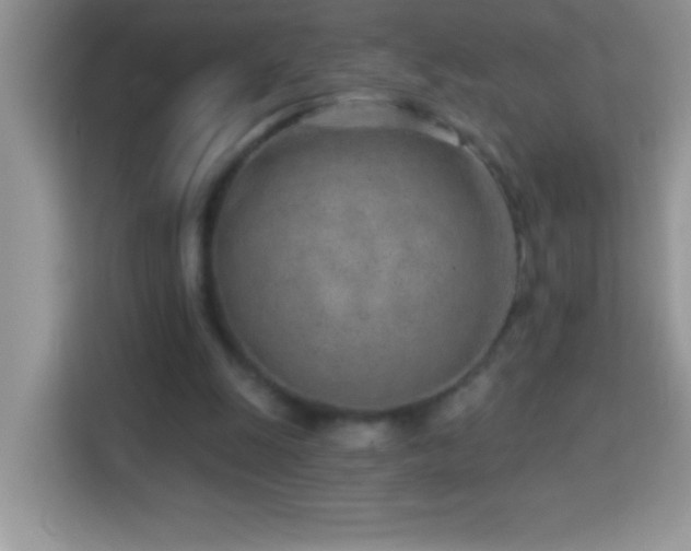 X0000114160247200910081359