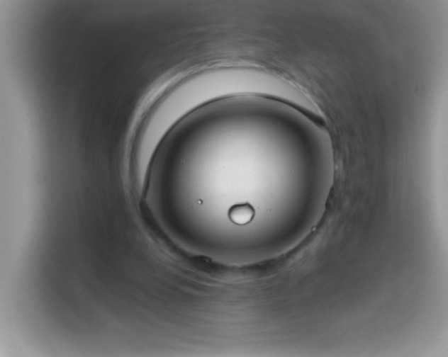 X0000114160248200910081359