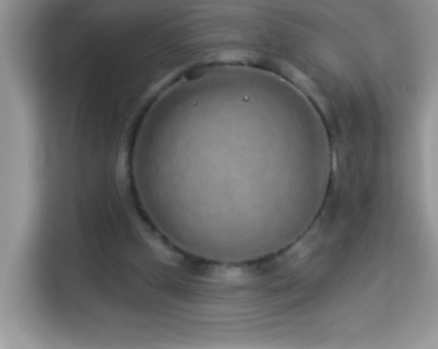 X0000114160249200910081359