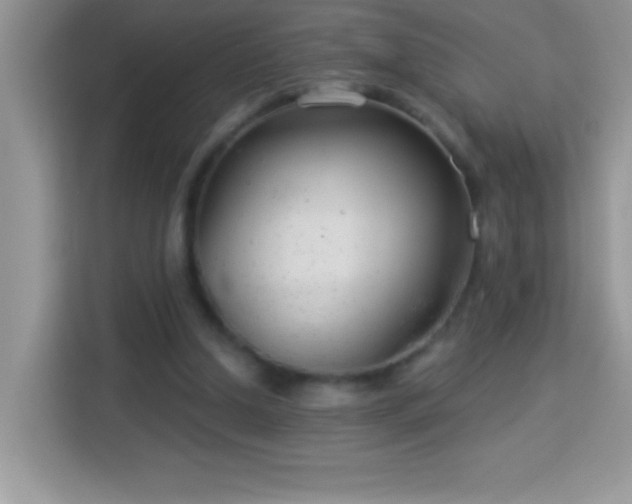 X0000114160250200910081359