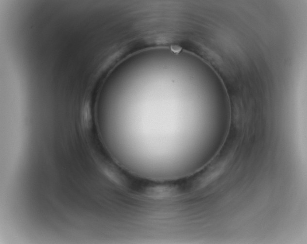 X0000114160251200910081359