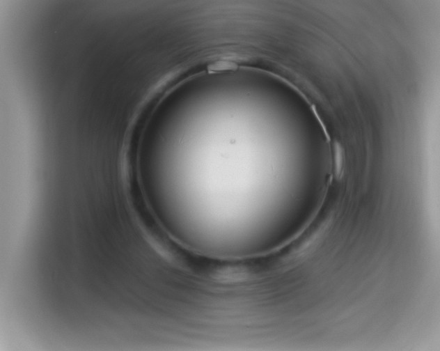 X0000114160252200910081359