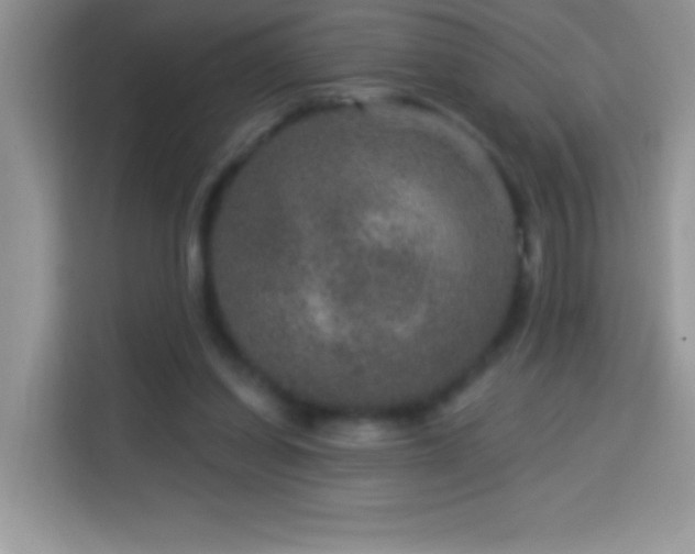 X0000114160254200910081359