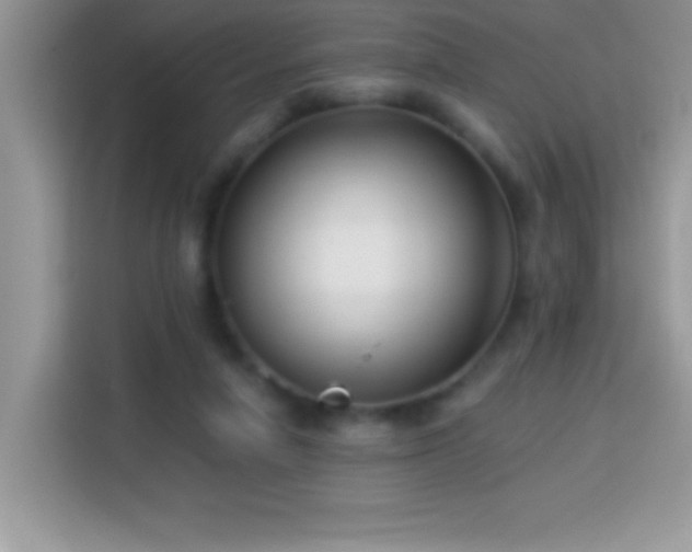 X0000114160258200910081359