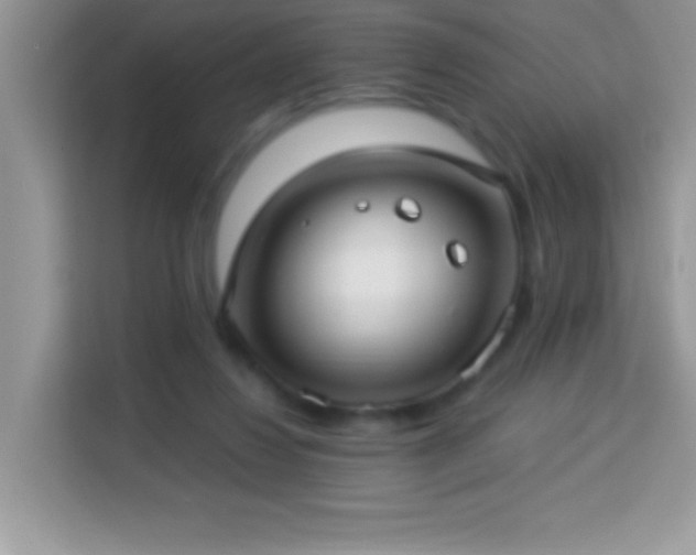 X0000114160260200910081359