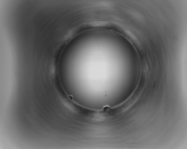 X0000114160261200910081359