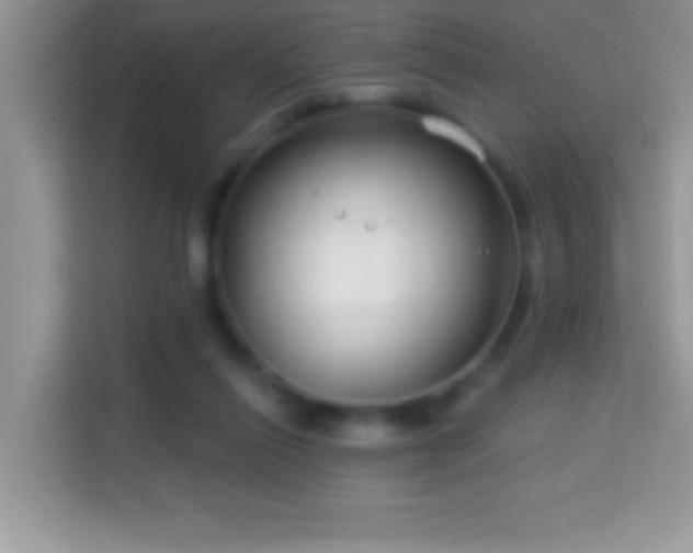 X0000114160262200910081359