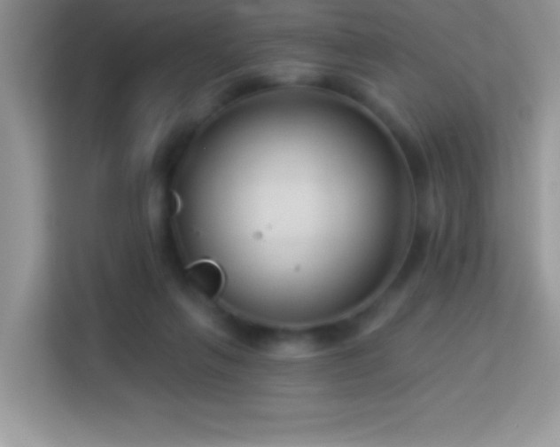 X0000114160263200910081359