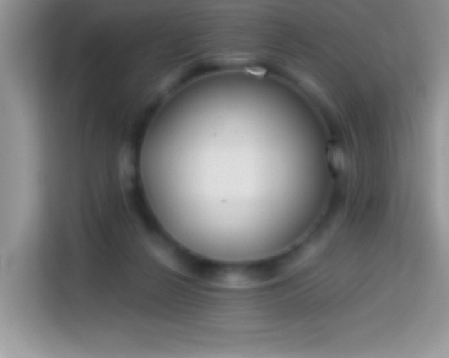 X0000114160264200910081359