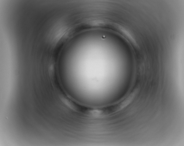 X0000114160265200910081359