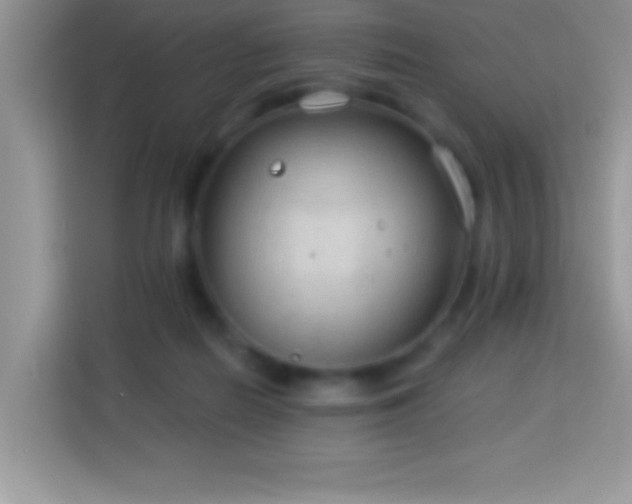 X0000114160266200910081359