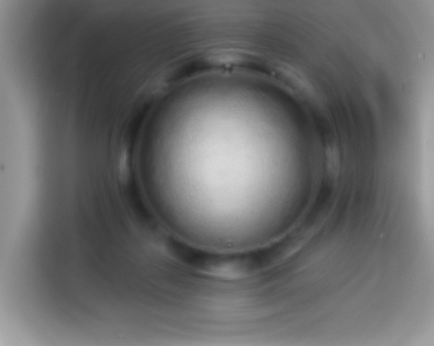 X0000114160267200910081359