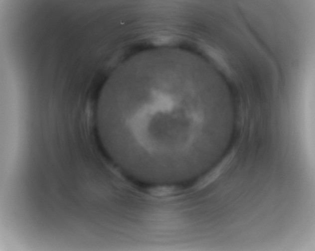 X0000114160273200910081359