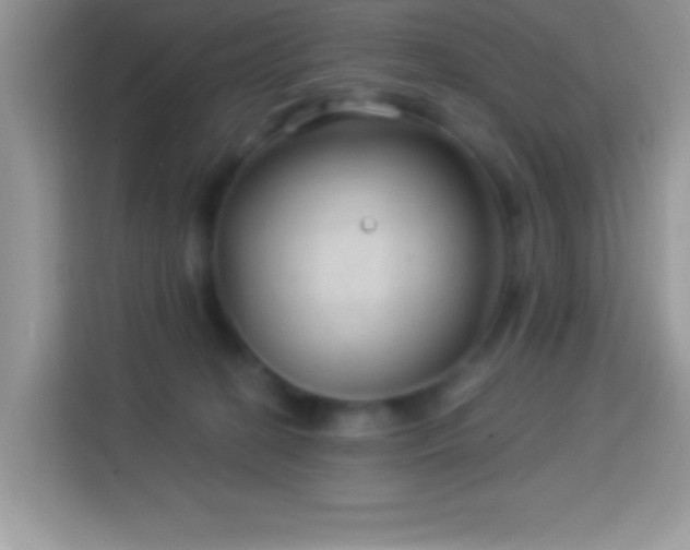 X0000114160274200910081359