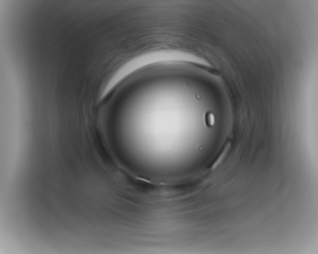 X0000114160276200910081359