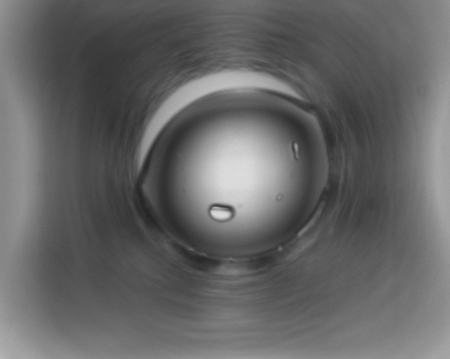 X0000114160280200910081359