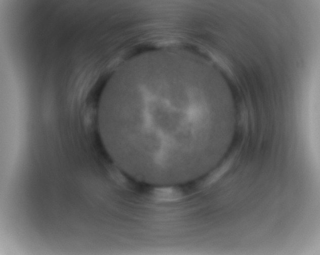 X0000114160281200910081359