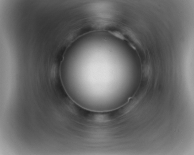 X0000114160283200910081359