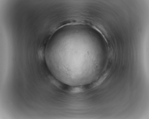 X0000114160285200910081359