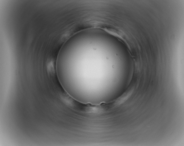 X0000114160286200910081359