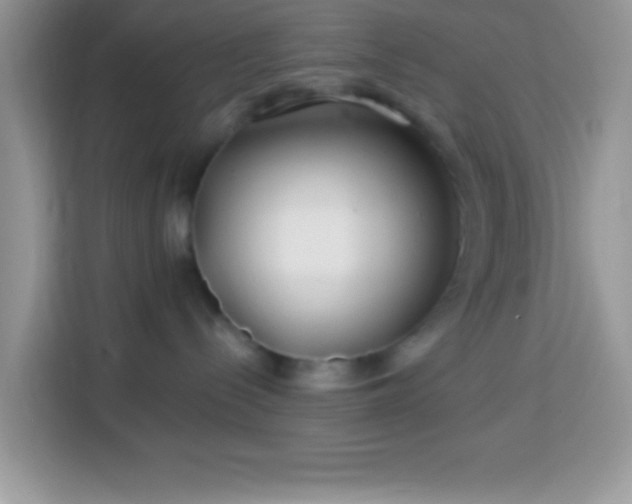 X0000114160288200910081359