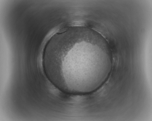 X0000114160293200910081359