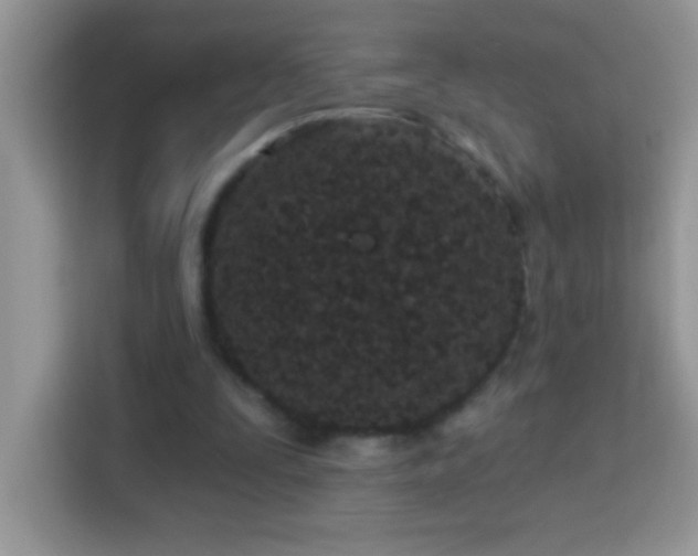 X0000114160295200910081359