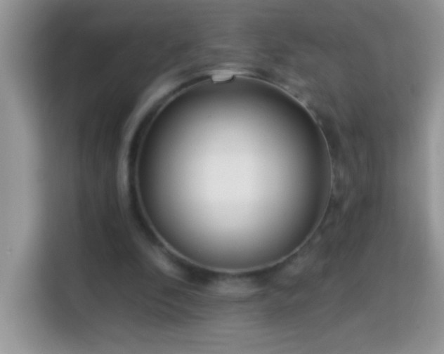 X0000114160296200910081359