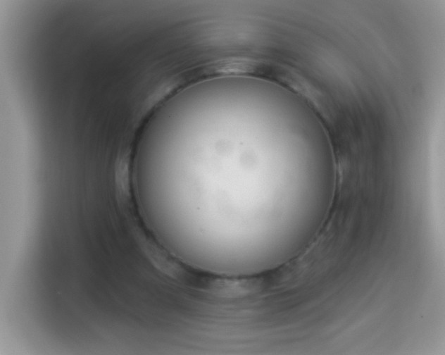 X0000114160297200910081359