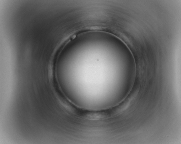 X0000114160299200910081359